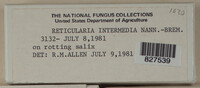 Image Associated With the Occurence